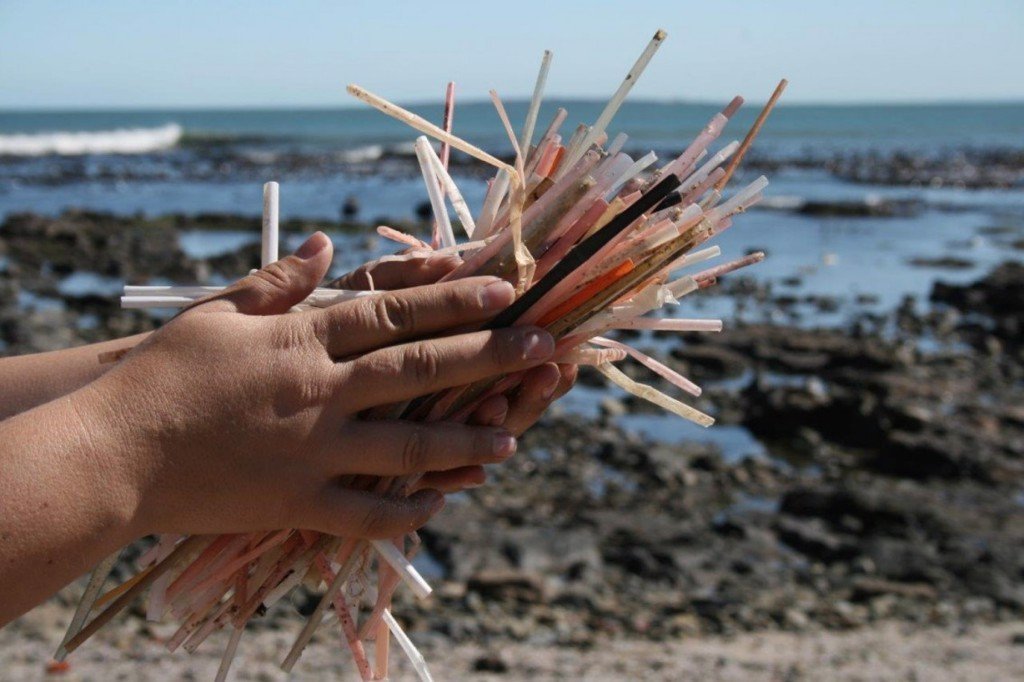 Sensibiliser les élèves à la protection de l environnement